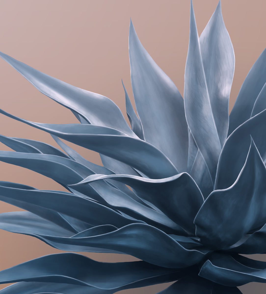 Agave mural wallpaper