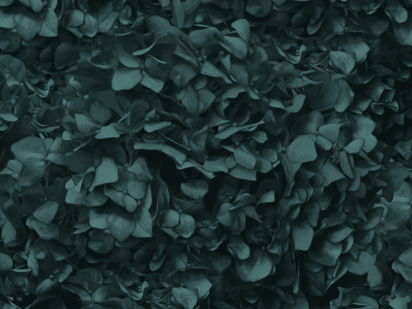 Forest Green Hydrangea Mural