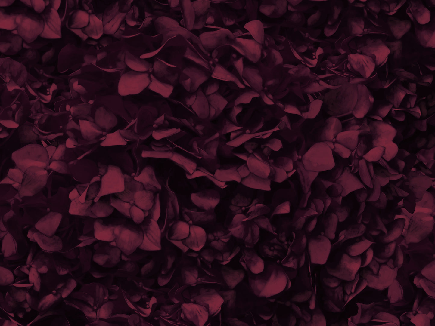 Red Wine Hydrangea Mural Wallpaper