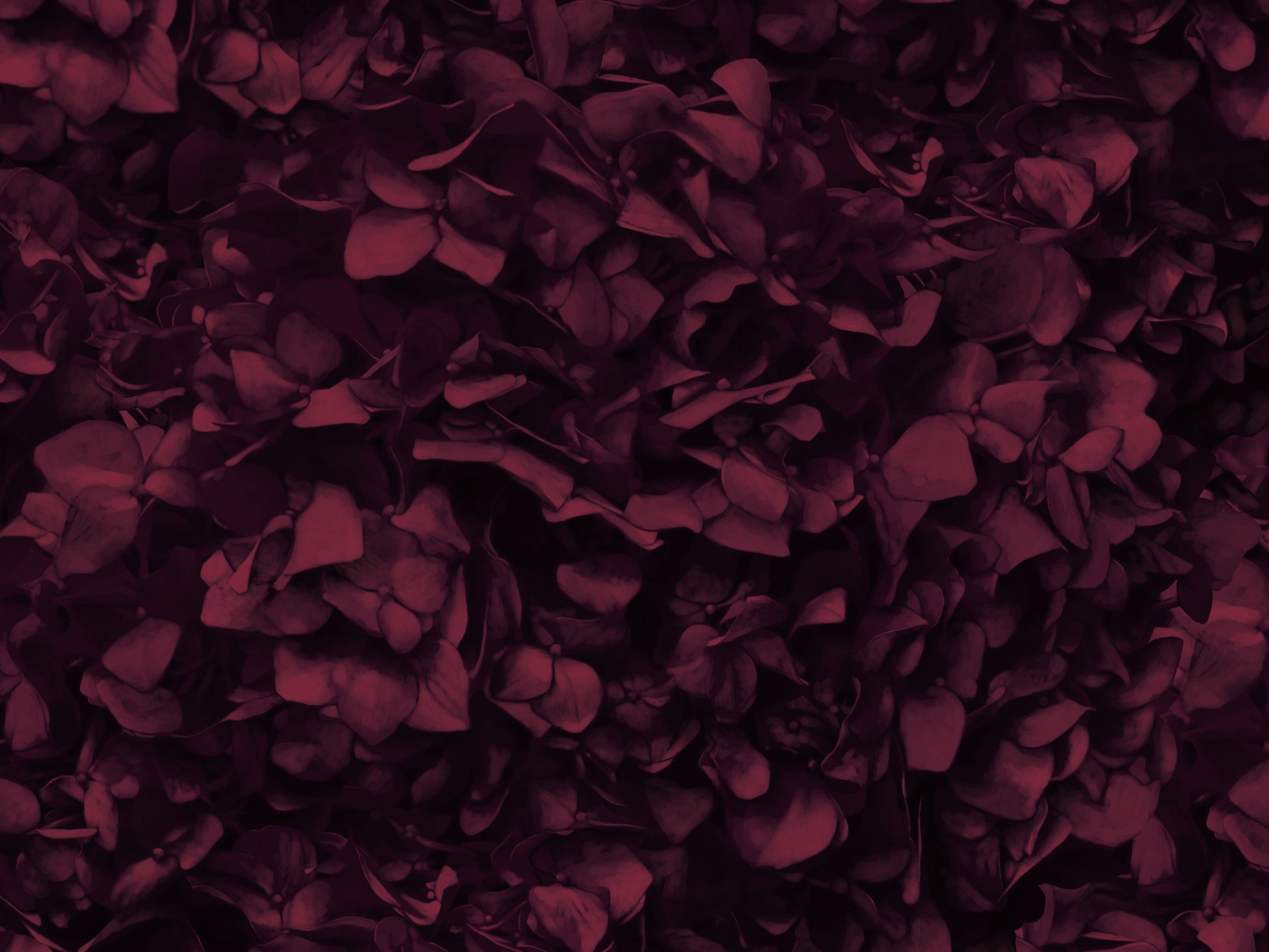 Red Wine Hydrangea Mural Wallpaper