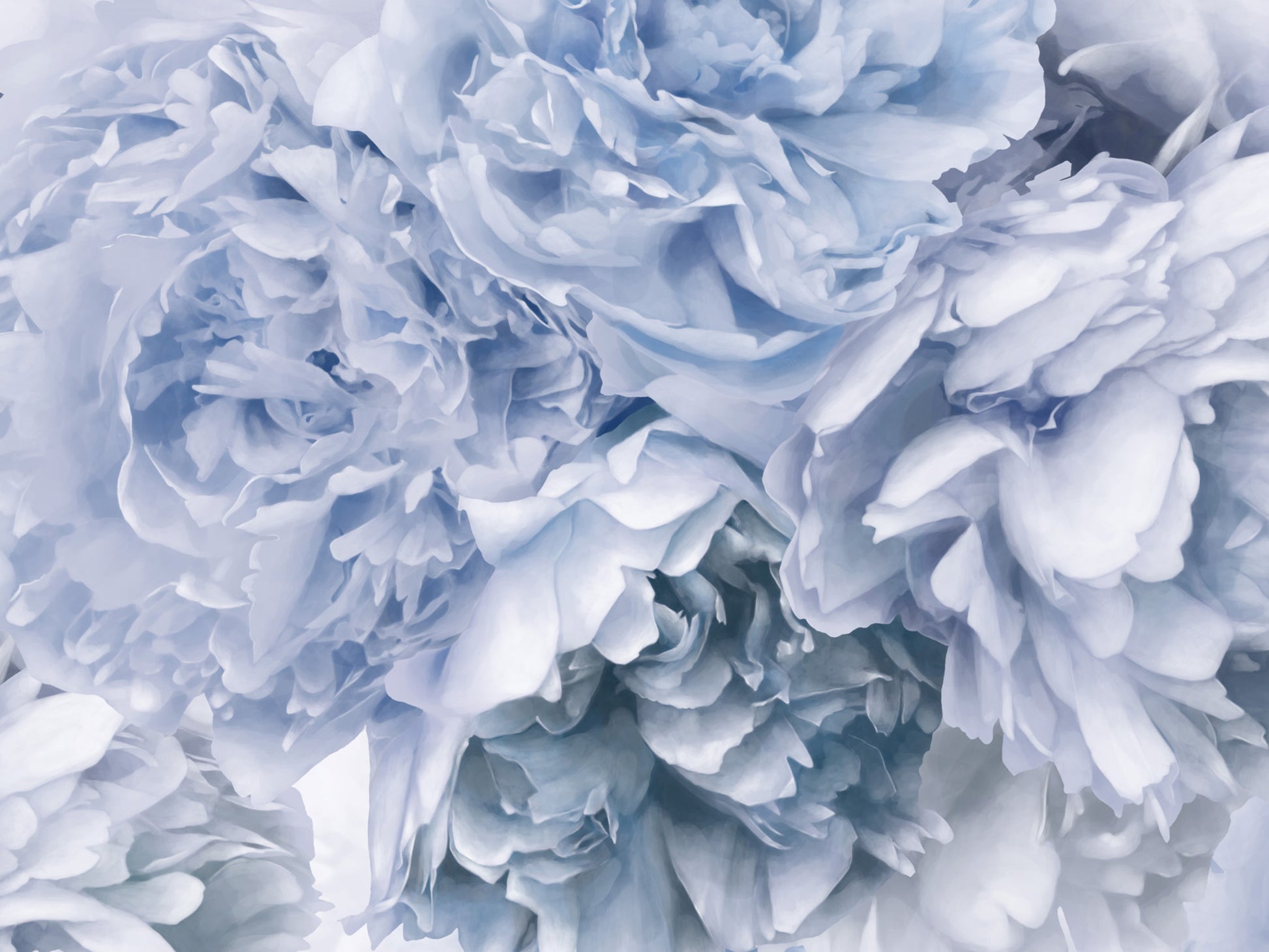 Blue Peony Mural Wallpaper