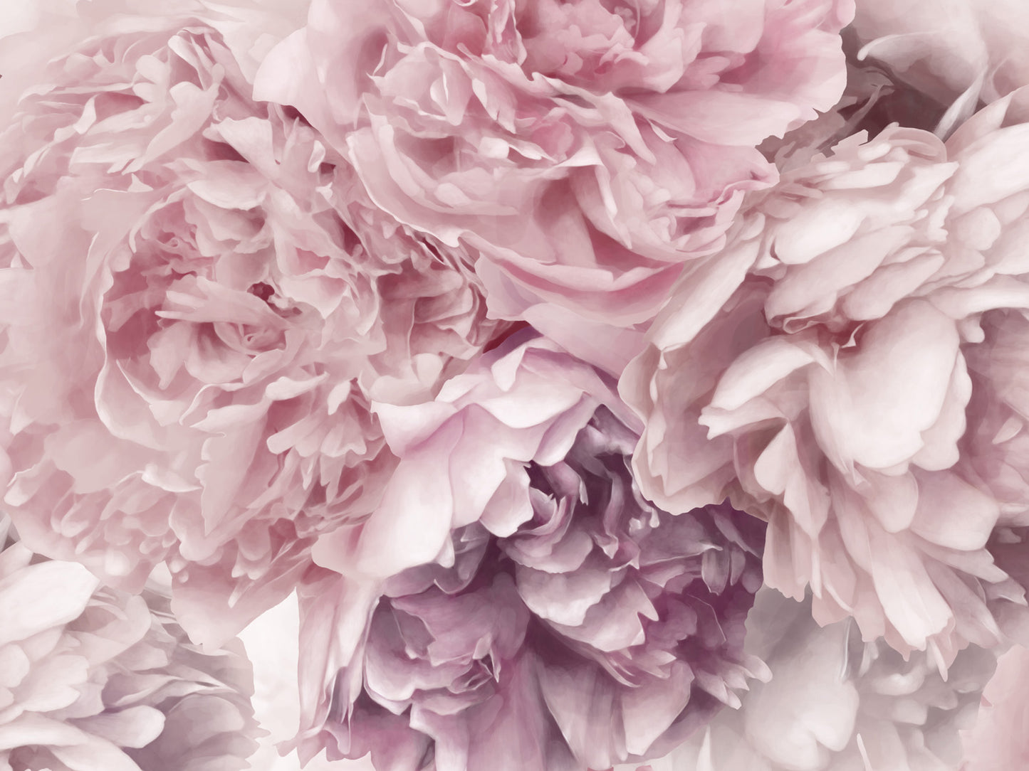 Pink Peony Mural Wallpaper