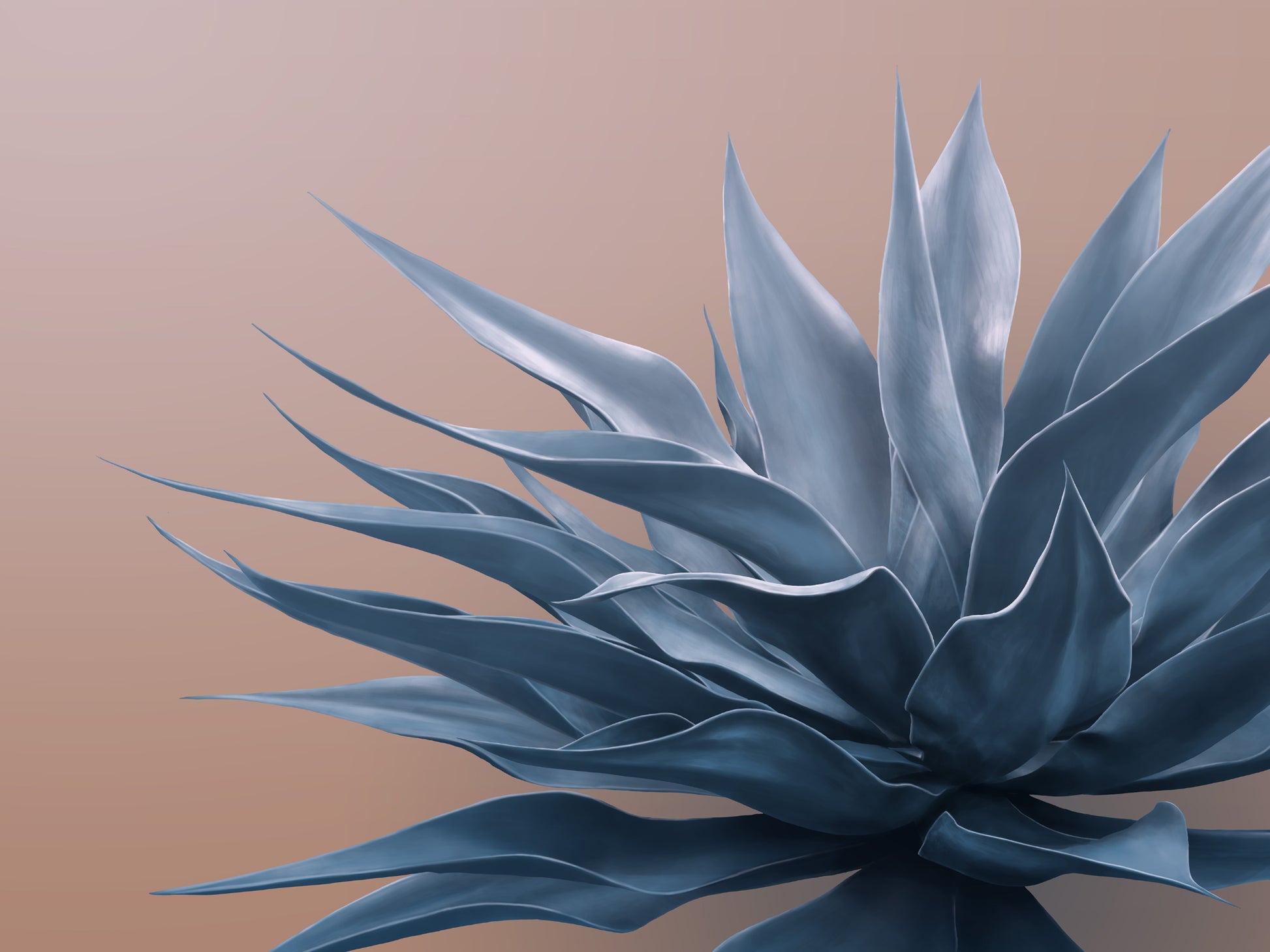 Blue on Peach Agave Mural Wallpaper