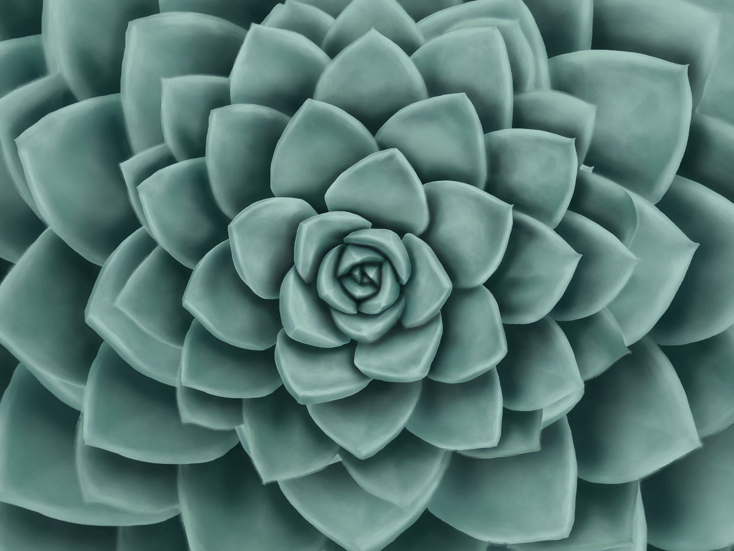 Mint Green Echeveria Mural Wallpaper