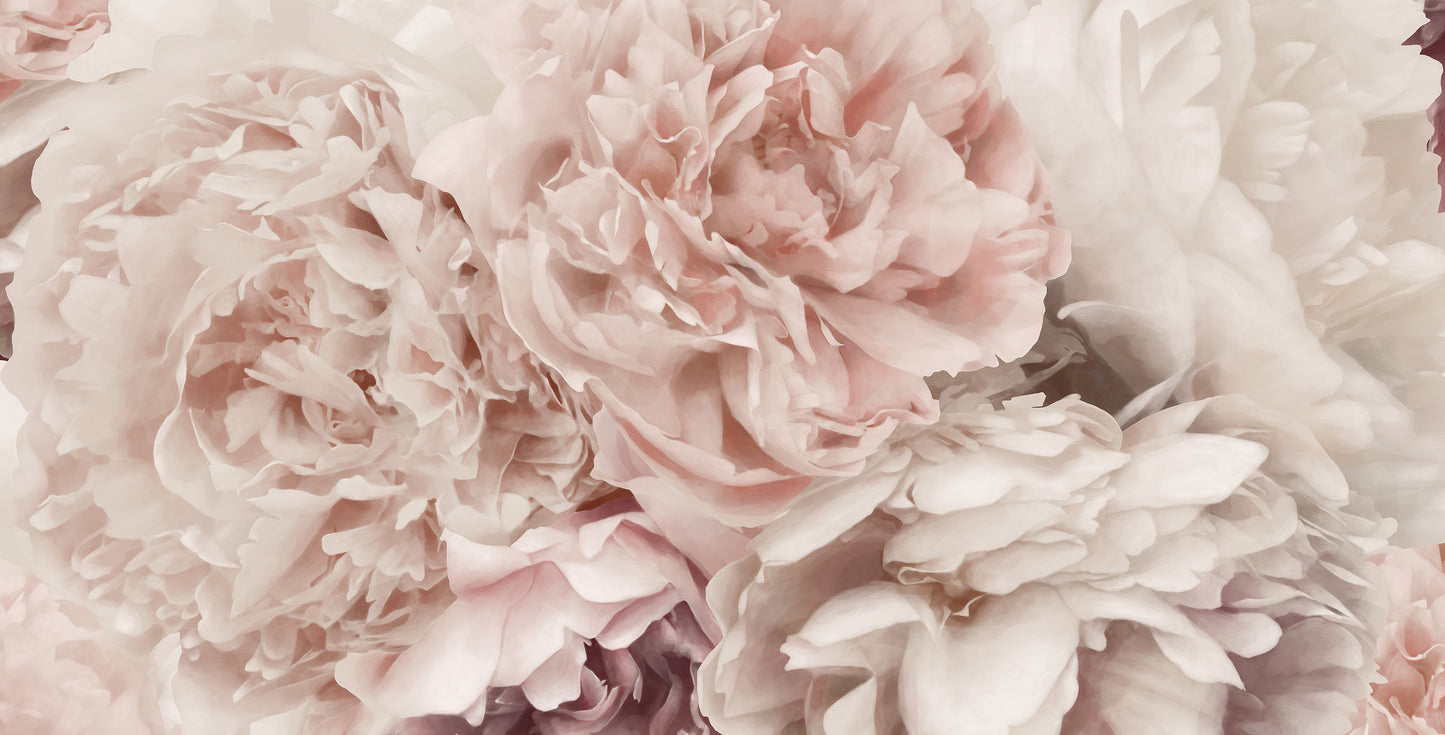 Peach Peony Mural Wallpaper