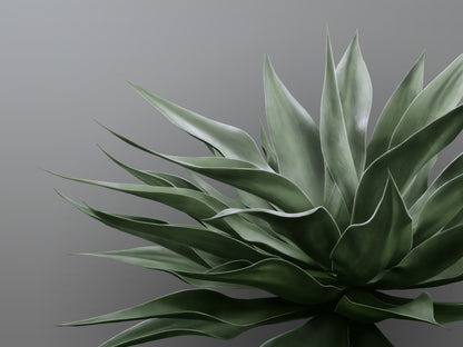 Green on Grey Agave Mural Wallpaper
